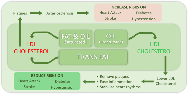 Relationships of fats and chronic conditions