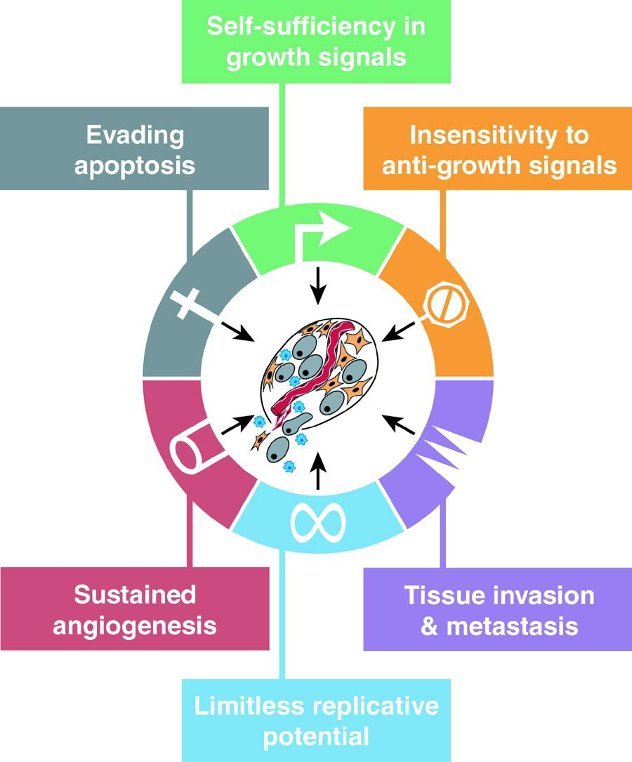 Cancer is no longer an ageing disease - ageingray