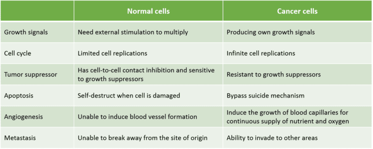 Differences between normal and cancer cells