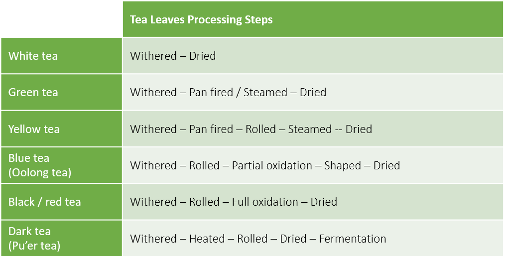 Types of teas and processing steps