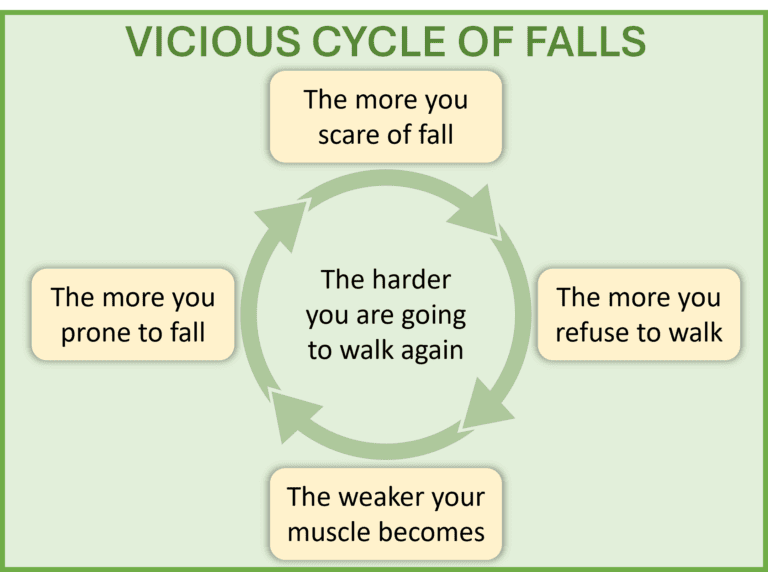 Falls cycle