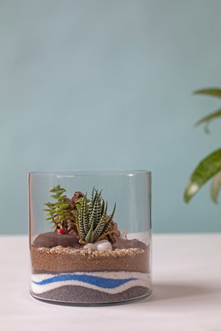 Terrariums