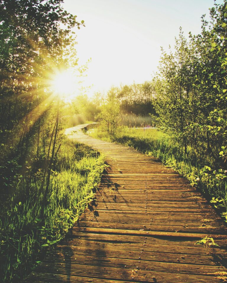 sunlight, vitamin D
