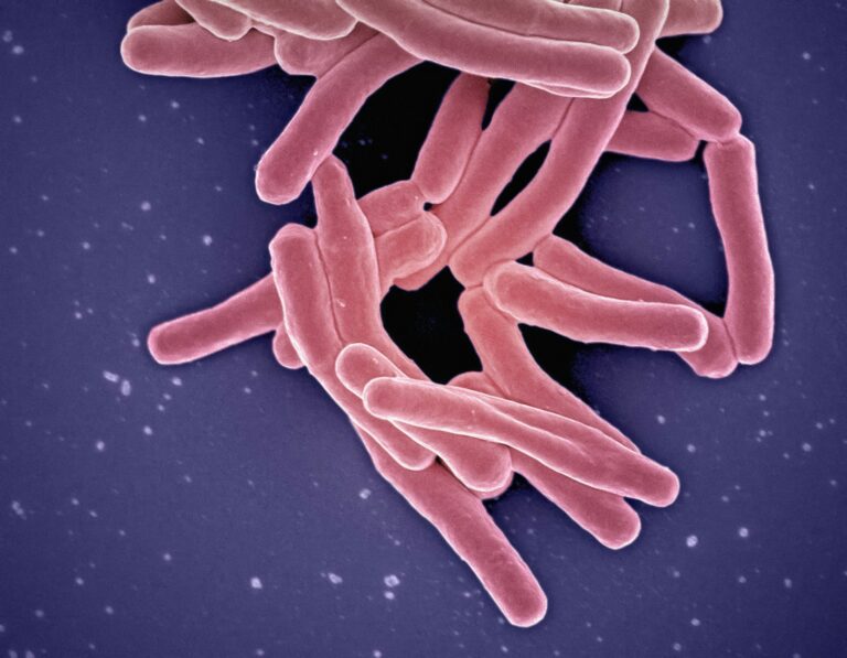 pathogen