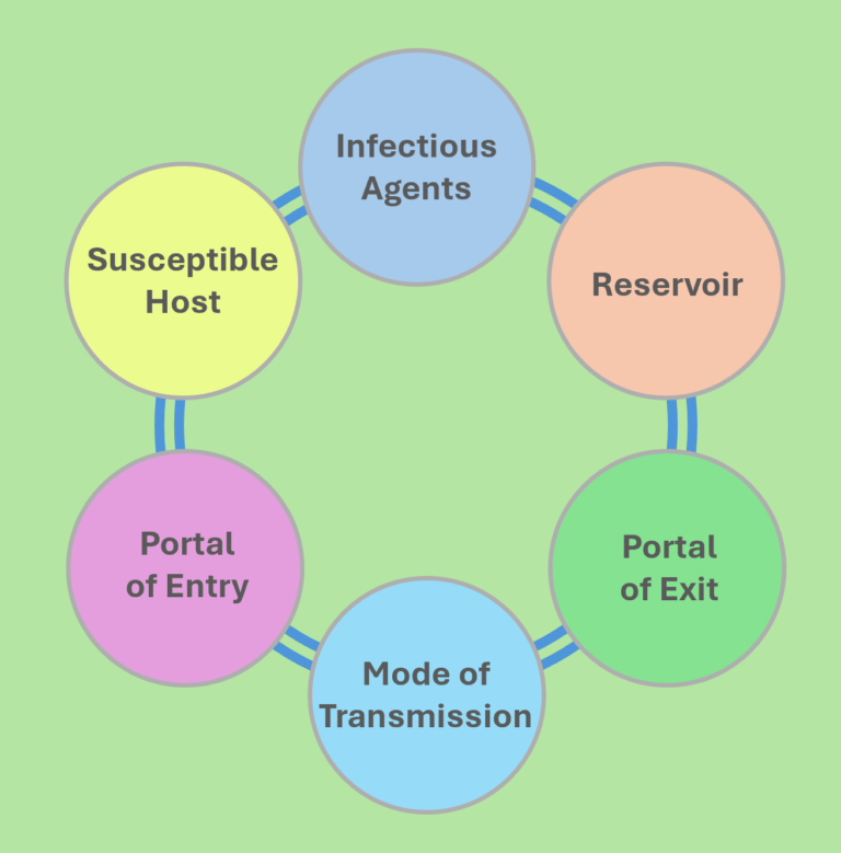 Chain of Infection