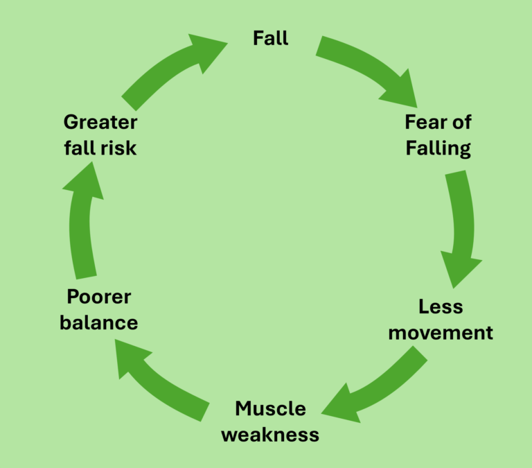Cycle of fall